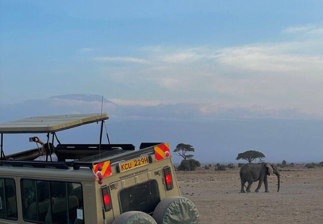 4x4 car rental Kenya